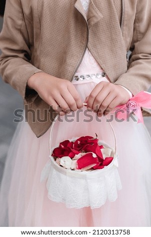 Rose petals in the hands of a girl.