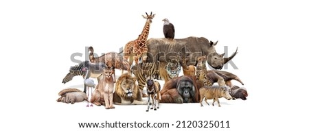 Composite of a large group of wildlife zoo animals together over a white horizontal web banner or social media cover Royalty-Free Stock Photo #2120325011