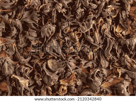 Background of tea from dried pomegranate flowers. Vector Illustration. Increases immunity. Healthy food concept.
 Royalty-Free Stock Photo #2120342840