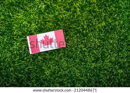Canada flag, Canadian flag on a green grass lawn field background. National flag of Canada waving outdoors
