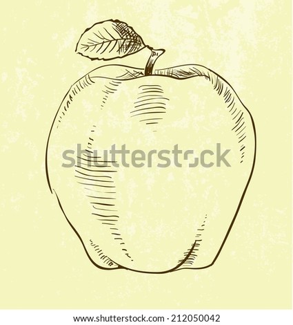 vector of highly detailed hand drawn apple.