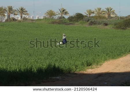 A woman walks with her dog in the field