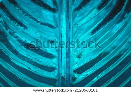 Close up abstract photography of the ice structure in the shape of a leaf with colorful LED back light (no processing photo)