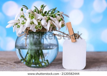 Bouquet of snowdrops in a glass vase with water. Copy space for text. Mock up with a tag. Early spring flowers. Holiday greeting card