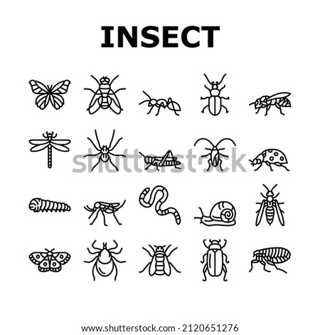 Insect, Spider And Bug Wildlife Icons Set Vector. Dragonfly And Butterfly, Ladybug And Cockroach, Grasshopper And Bumblebee, Mosquito And Caterpillar Insect Line. Black Contour Illustrations