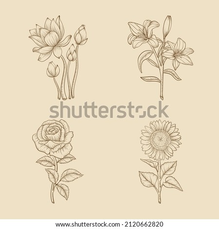 flowers Sketch Collection vector illustration