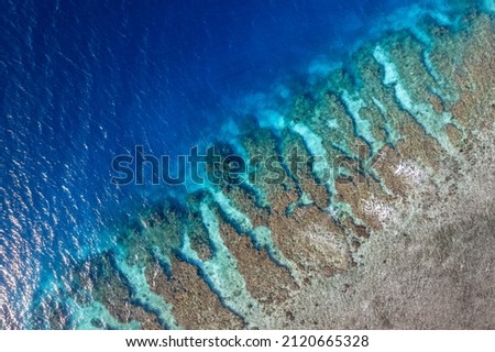 Aerial shot of a coastal reef in the bay islands honduras