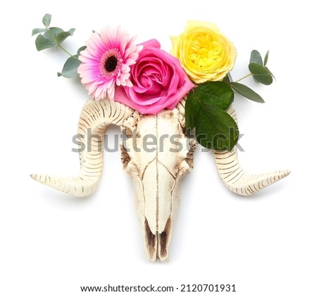 Skull of sheep with flowers on white background