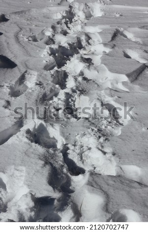 Footsteps thru the tall winter snow.