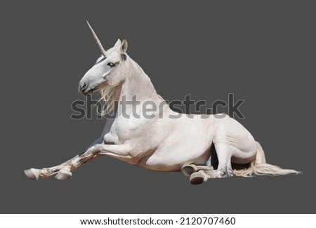 Isolated cut out of a realistic grey and white unicorn lying down over dark background Royalty-Free Stock Photo #2120707460