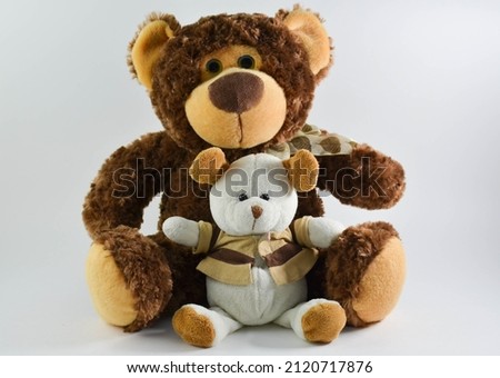bear and bear cub.two teddy bears on a white background.