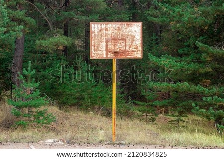 A rusty basketball hoop in the middle of the forest.