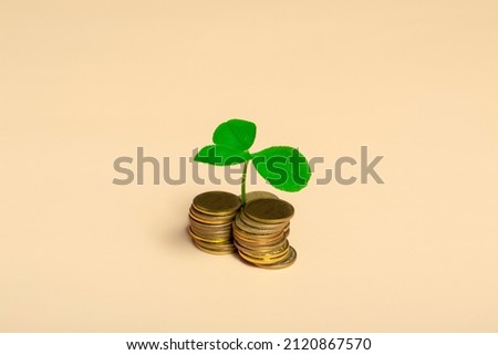 Golden coins and clover leaf on beige background, close up copy space