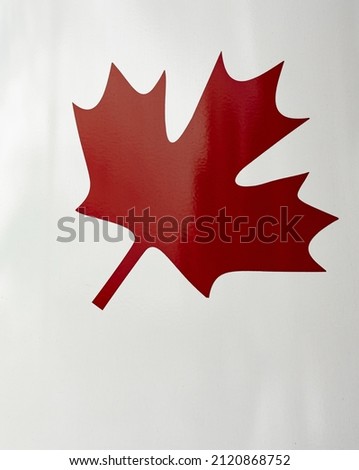Canadian maple leaf painted on white background. National simbol of Canada red maple leaf. Selective focus, street photo, no people, copyspace for text