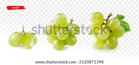 Set of green grape isolated on white. Realistic vector illustration of yellow grape. Royalty-Free Stock Photo #2120871398
