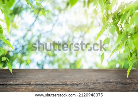Dark wooden surface with fresh leaves and nature summer background