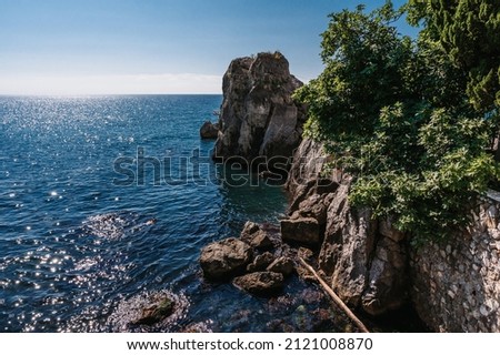 Landscape. Sea waves beat against the rocks on which trees grow. The Black Sea. Crimea.