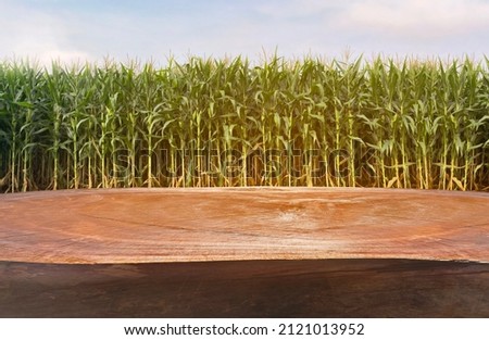 Empty wooden log on Agriculture corn field soft blurry background. Of free space for products and branding.