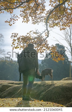 A photographer is waiting for the moment when the deer eat.