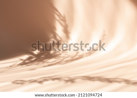 Pampas grass natural shadows on a beige wall or table. Silhouette of reed on beige background Royalty-Free Stock Photo #2121094724
