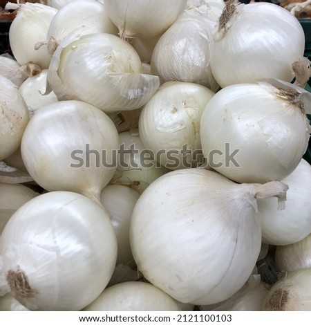 Macro photo white onion. Stock photo vegetable white onion background
