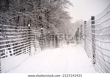 Path covered with snow between twho fences. High quality photo