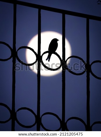Full moon with sparrow silhouette in the dark night. A beautiful picture of moon silhouette with sparrow. A beautiful picture for wallpaper and frame. Royalty-Free Stock Photo #2121205475