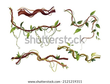 Liana or vine winding branches cartoon vector illustration. Jungle tropical climbing plants. Royalty-Free Stock Photo #2121219311