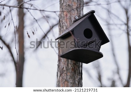 Birdhouse on tree at winter time