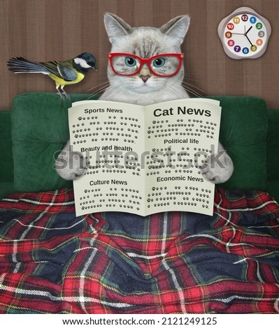 An ashen cat in glasses covered with a blanket is reading a newspaper in bed at home.