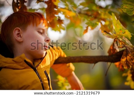 eight year old red-haired boy in a yellow jacket in the autumn forest