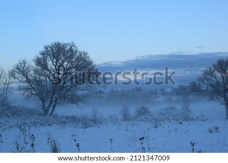 Winter landscape. Trees and mountains in the fog.