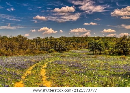 Bluebonnets on a ranch in Texas Hill Country Royalty-Free Stock Photo #2121393797