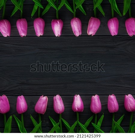 tulip flowers space text  background	

