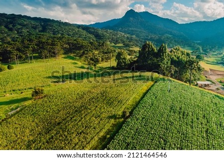 Aerial view of a rural area with mountains, vegetation and corn field in the municipality of Urubici, Santa Catarina, Brazil