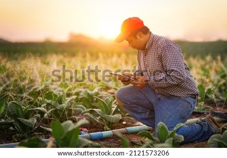 Selective focus Smart farmer using tablet control Irrigation system working watering crop fertilization to young plants. smart farmer, digital agriculture, technology agricultural concept. Royalty-Free Stock Photo #2121573206