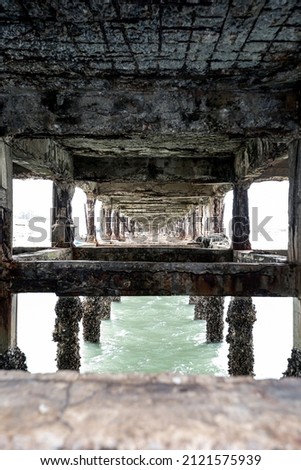 under the pier by the sea