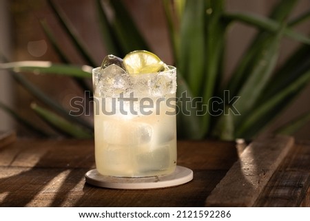 Margarita Cocktail on the rocks in modern tumbler glass with agave plant in the background Royalty-Free Stock Photo #2121592286
