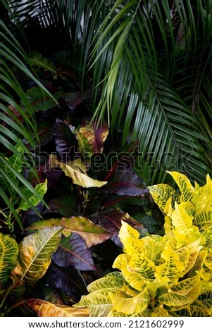 Jungle tropical foliage background. Green lush pattern texture card 