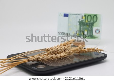 Dry ears on the scales nearby are banknotes, the global food crisis, grain exports, crop growth