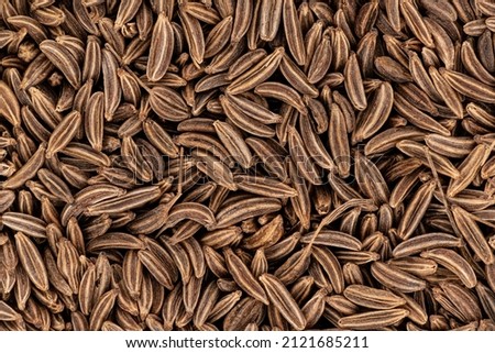 Closeup detail of caraway seeds - meridian fennel - Carum carvi shot from above, image width 23mm Royalty-Free Stock Photo #2121685211