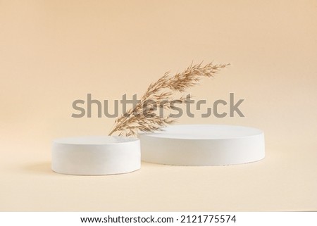 Podium for cosmetic product presentation. Abstract minimal geometrical form. Cylinder podium sphere, two forms, soft shadow. Scene to show products. Showcase, display case. Dry pampas grass. Side view