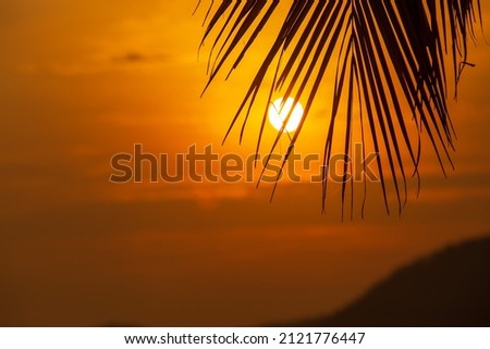 Big red or orange sun at sunrise time behind the coconut palm tree leaf, on the morning time.