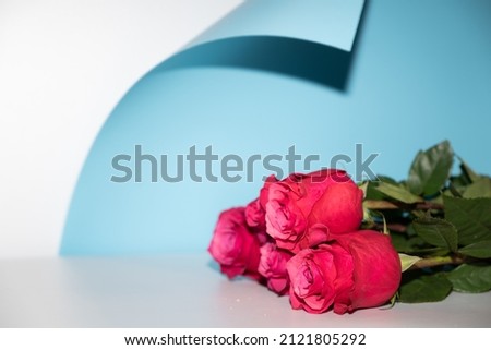 Red roses bouquet on color background and free space for text, valentine's bright background.