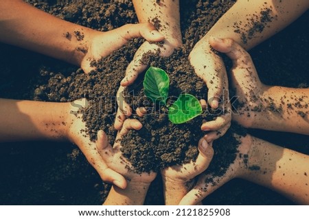 little boy's hand holding a green sapling earth day In the hands of trees planting saplings. Reduce global warming. Love the world concept. Royalty-Free Stock Photo #2121825908