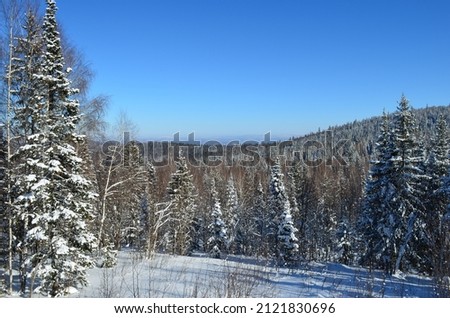 Winter landscape, mountains and trees . High quality photo
