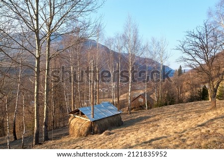 A haystack and a brown house in birch wood near a mountain village, sunny autumn day.