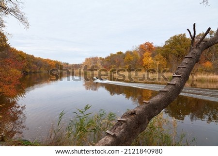 Tree trunk over the river in autumn, yellow and red forest.