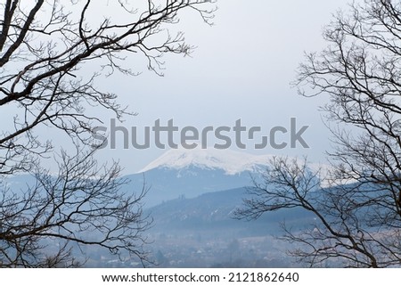 Snowcapped mountain Hoverla seen through the bare tree branches.