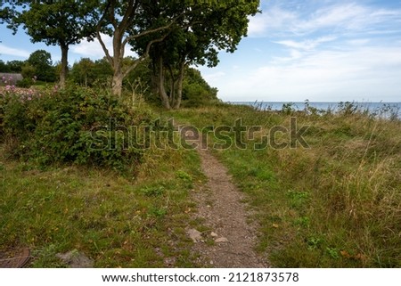 A hiking path through lush vegetation. Blue water and a blu sky in the background. Picture from Skalderviken, southern Sweden